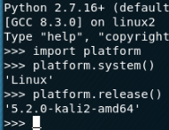 Showing the output of platform.release() on Kali Linux