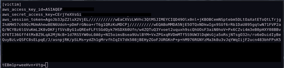 Adding the stolen keys to the credentials file