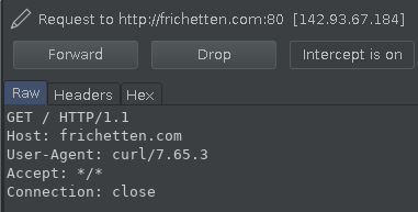Showing the output of Burp when curling a non SSL website.