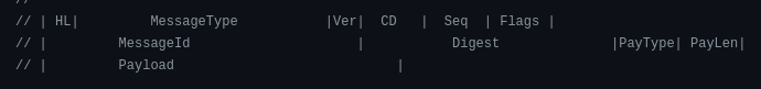 Showing the binary format